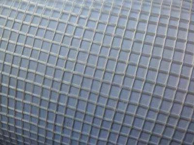 �����w�S�W��